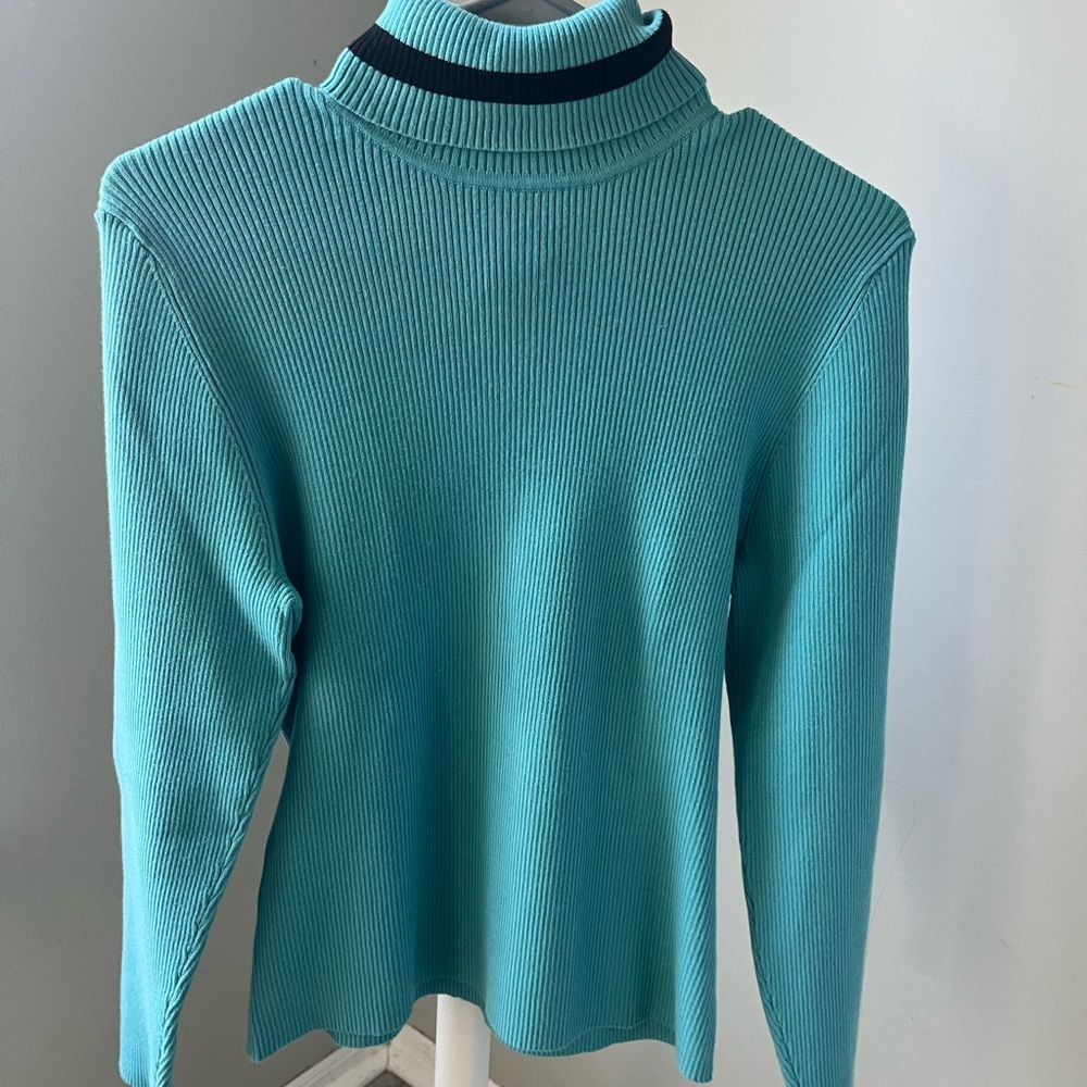 Style & Co. Aqua and Black Ribbed Turtleneck Sweater - Picture 5 of 5